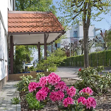 Θέρετρο Meduza