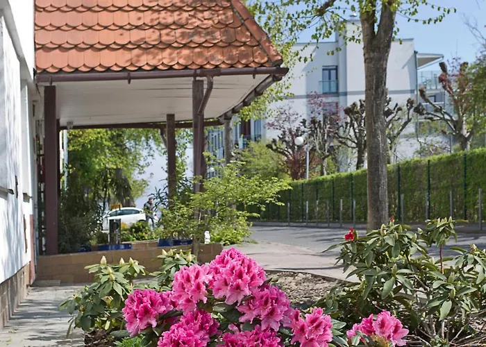 Θέρετρο Meduza